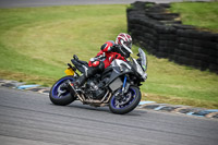 enduro-digital-images;event-digital-images;eventdigitalimages;lydden-hill;lydden-no-limits-trackday;lydden-photographs;lydden-trackday-photographs;no-limits-trackdays;peter-wileman-photography;racing-digital-images;trackday-digital-images;trackday-photos